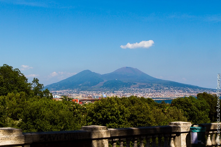 Город с видом на Везувий - Неаполь, Италия фото