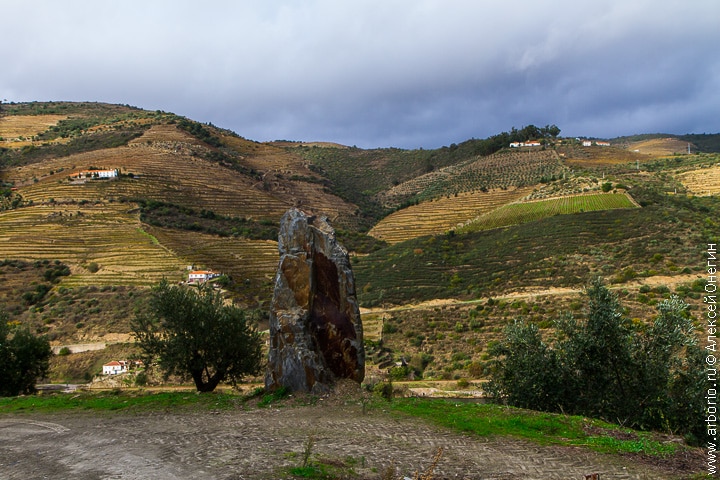 Долина Дору - Португалия фото