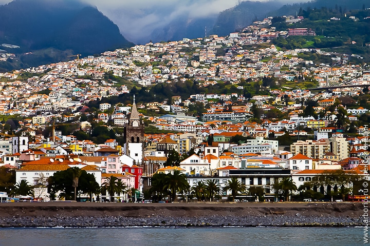 Остров вечной весны - Мадейра, Португалия фото