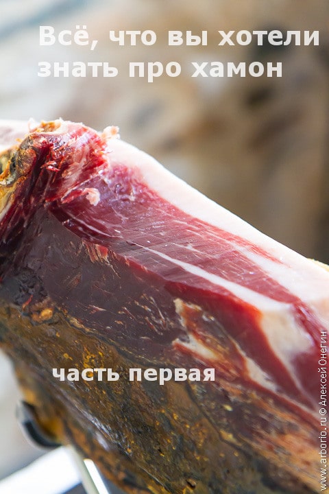 Фото к рецепту Все, что вы хотели знать про хамон. Часть первая Все, что вы хотели знать про хамон. Часть первая - фото