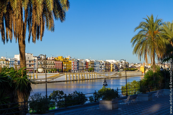 10 причин побывать в Севилье - Испания фото