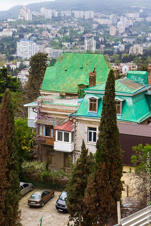 Набережная и крыши - Ялта, Россия фото